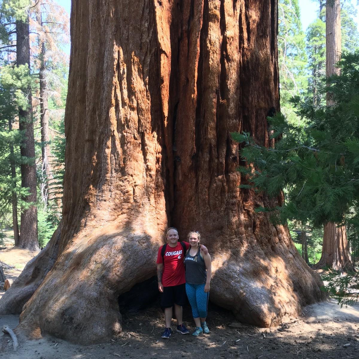 Sequoia National Forest