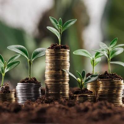 Investment Fund