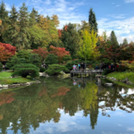 Washington Park Arboretum