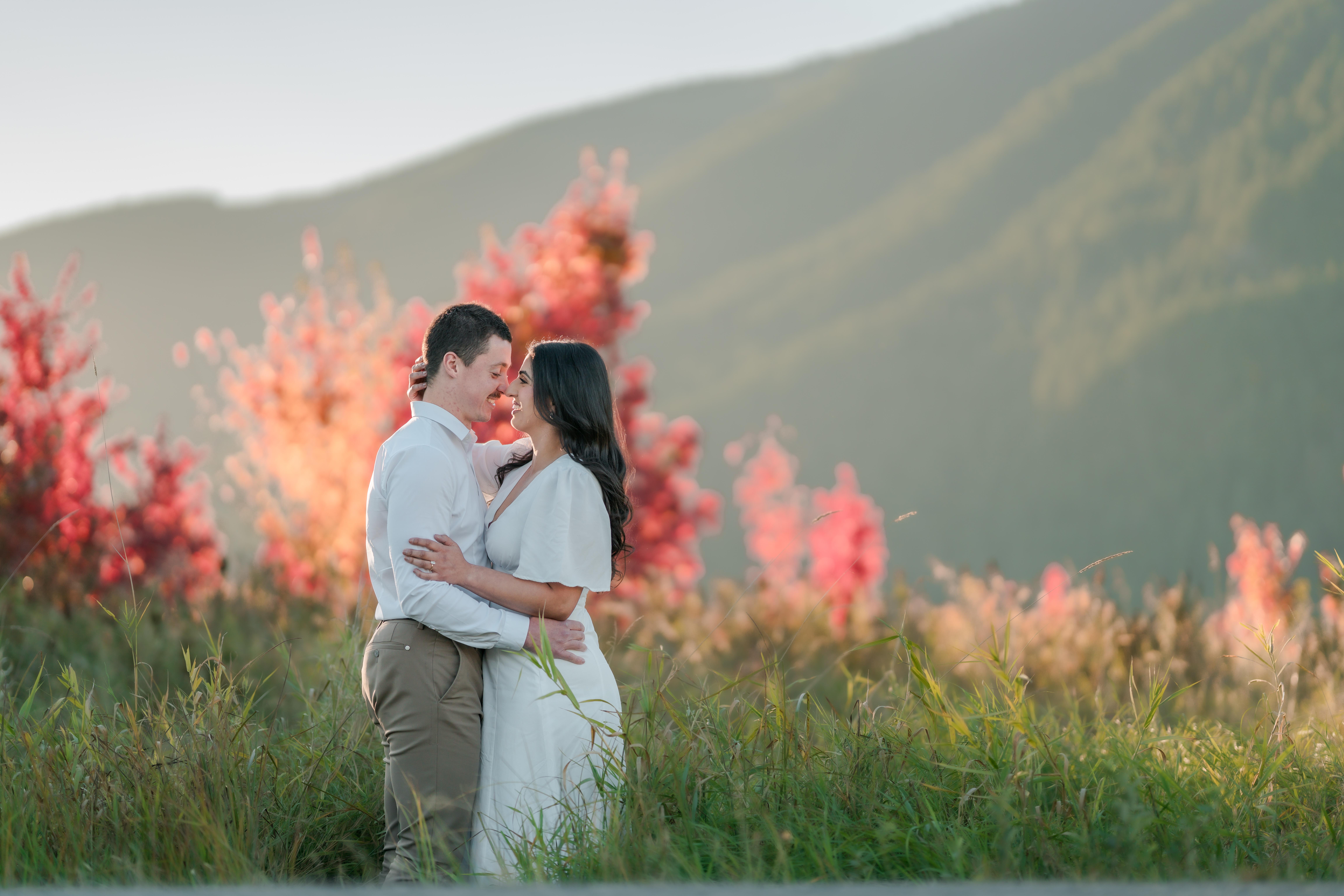 The Wedding Website of Lucas Allen and Misha Sangha