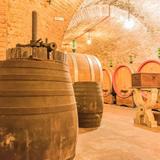 De' Ricci Cantine Storiche in Montepulciano