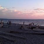 Marina Beach Park