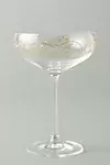 Fiorella Coupe Glasses, Set of 4