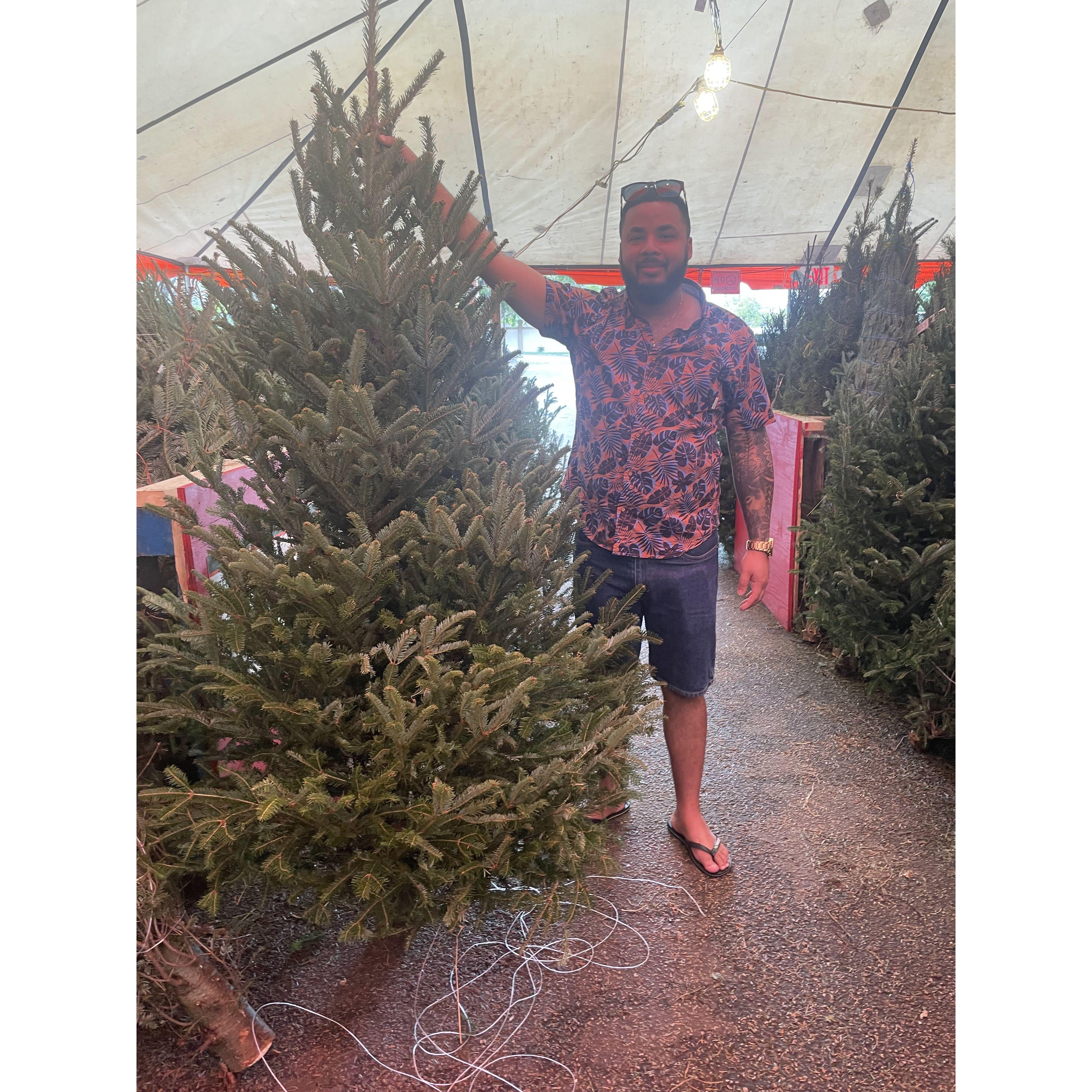 Picking out a Christmas tree
