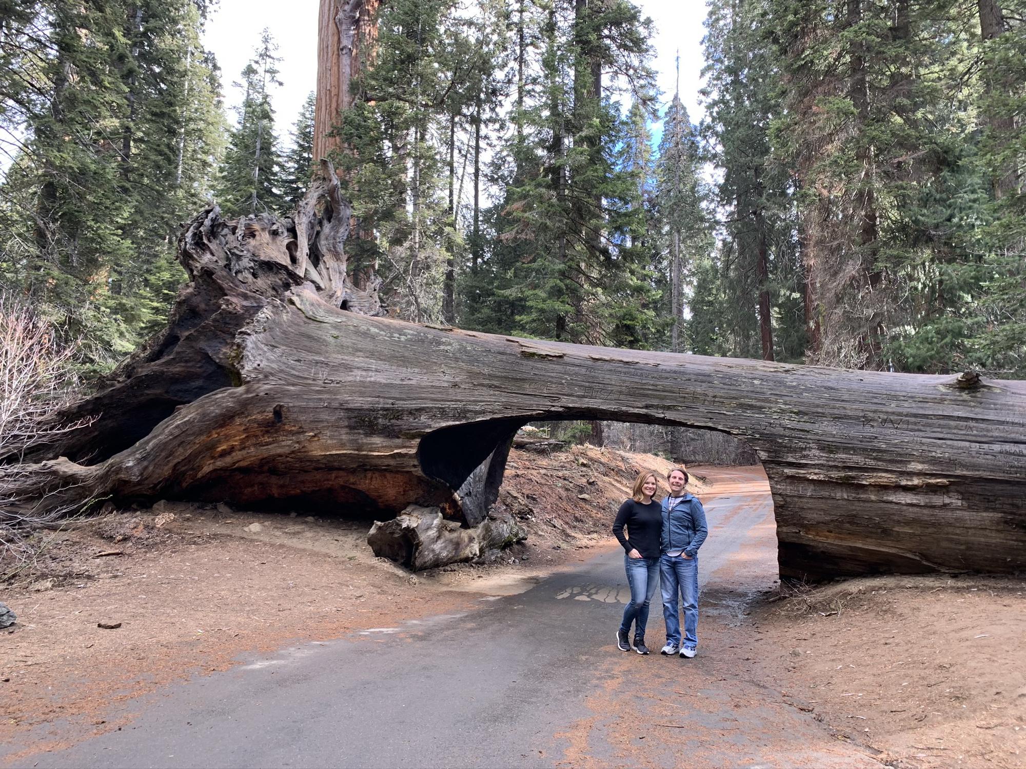 Sequoia National Park