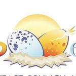 Wild Eggs
