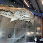 Great Lakes Aquarium