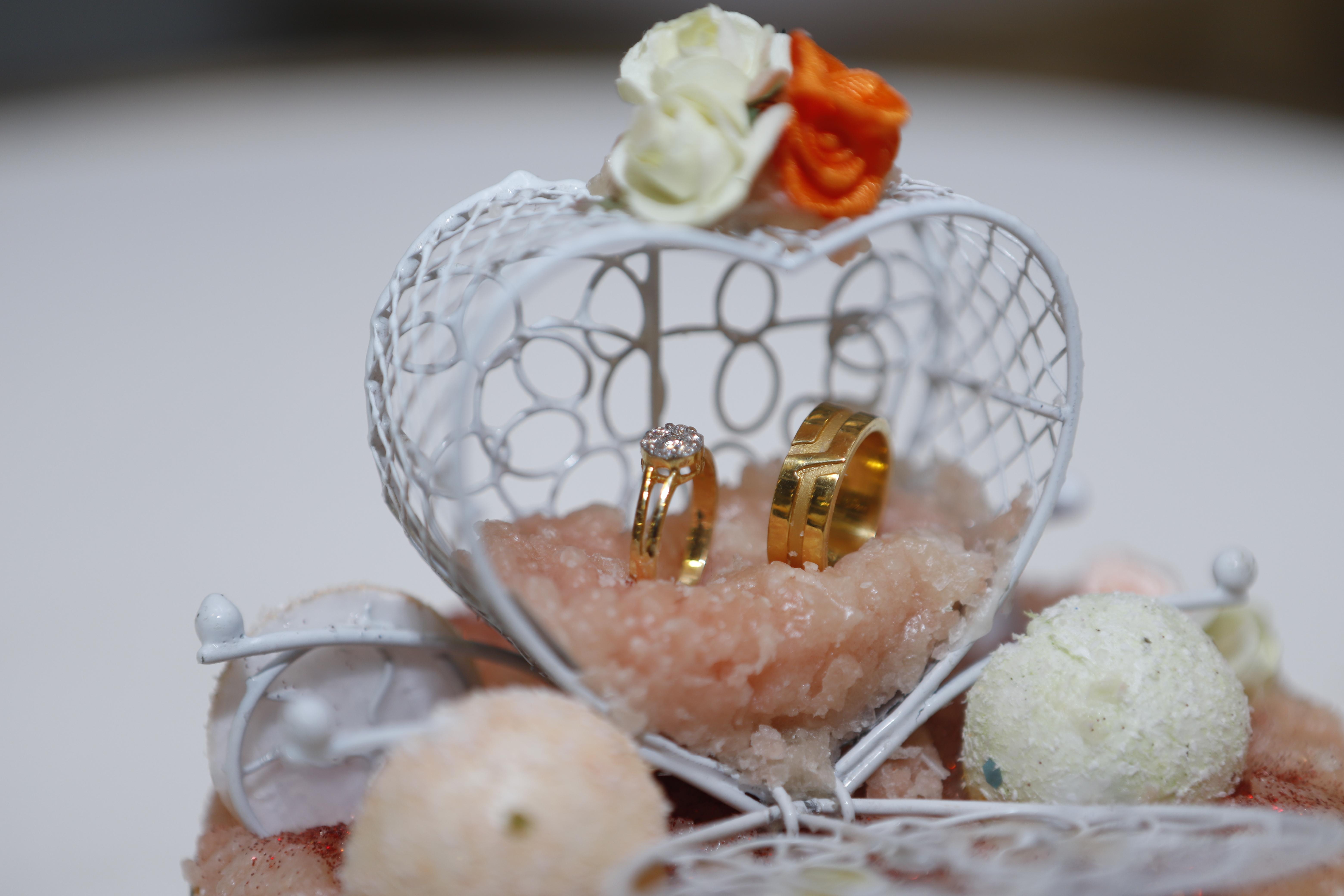 The Wedding Website of Jolanca Desouza and Steve Paul C