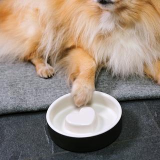 Pet Bowl