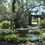 Airlie Gardens