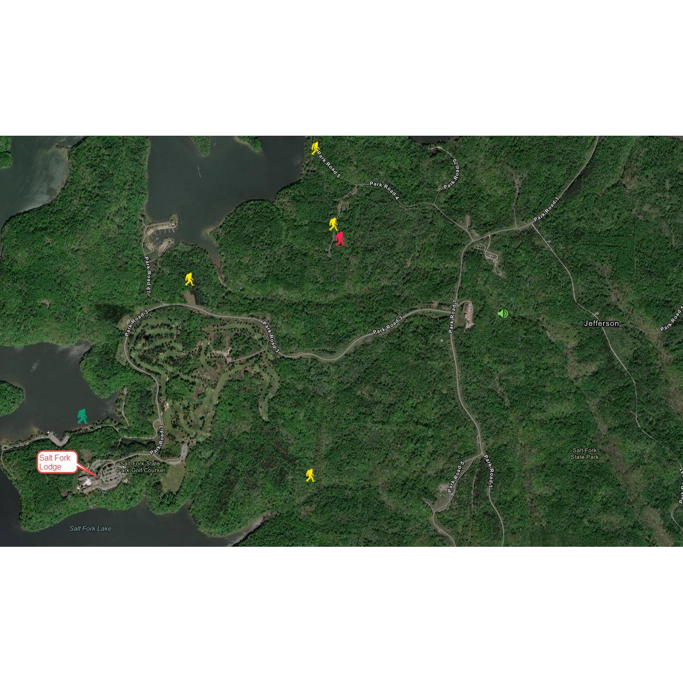 Bigfoot sightings!