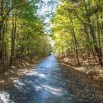 American Tobacco Trail