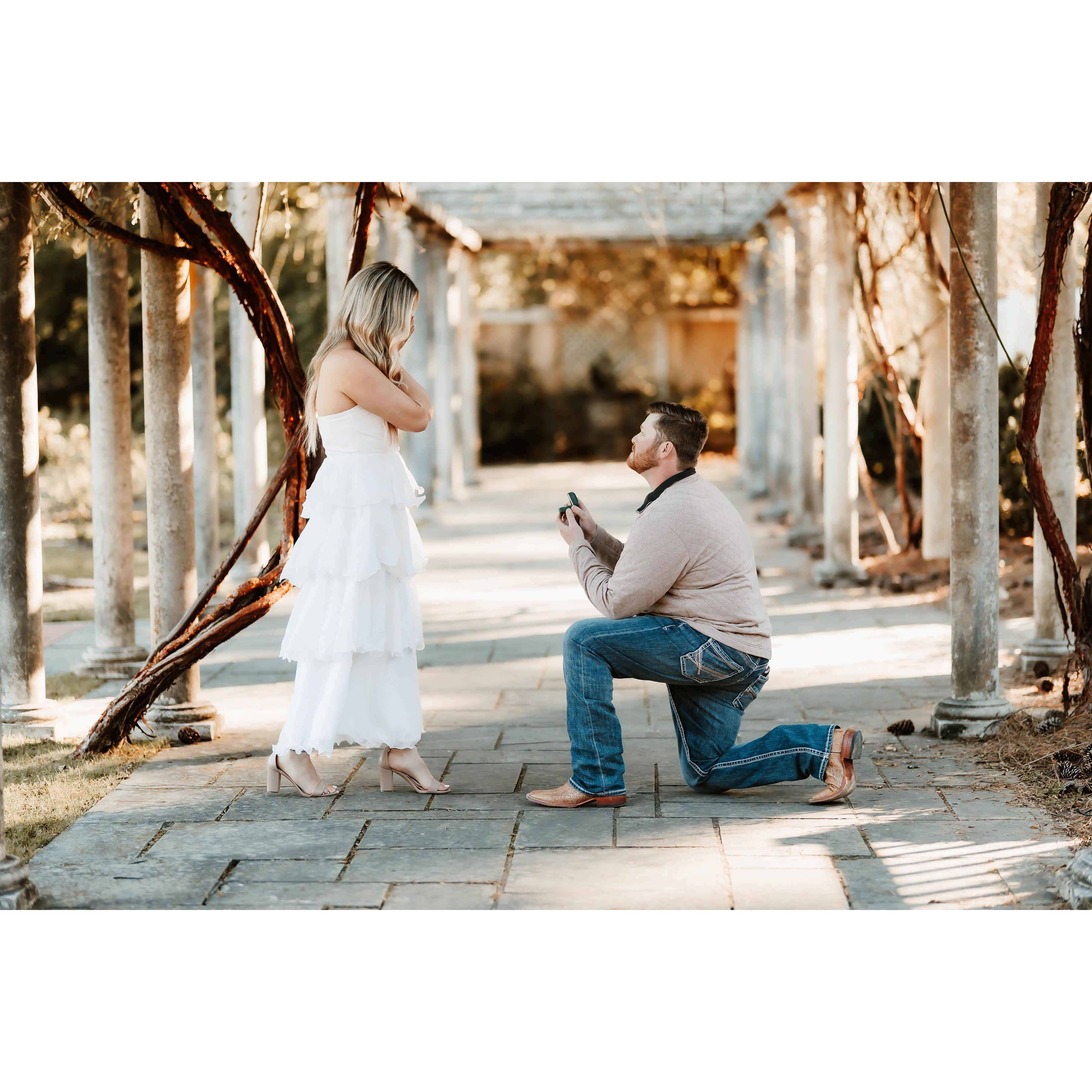 Our proposal-the start of our forever.