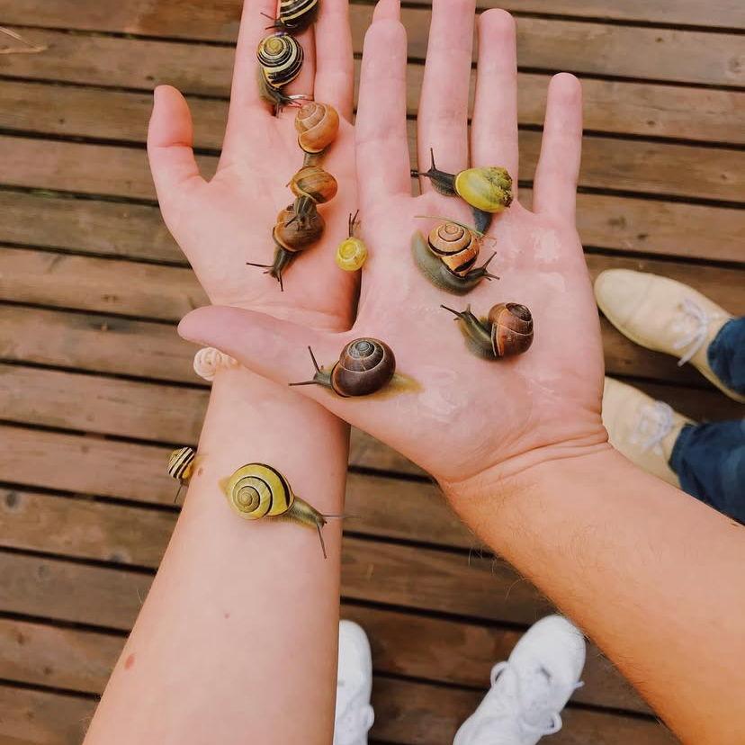 2019. Sharing our love for snails :)