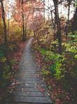 Mengerson Nature Reserve - ACRES Land Trust