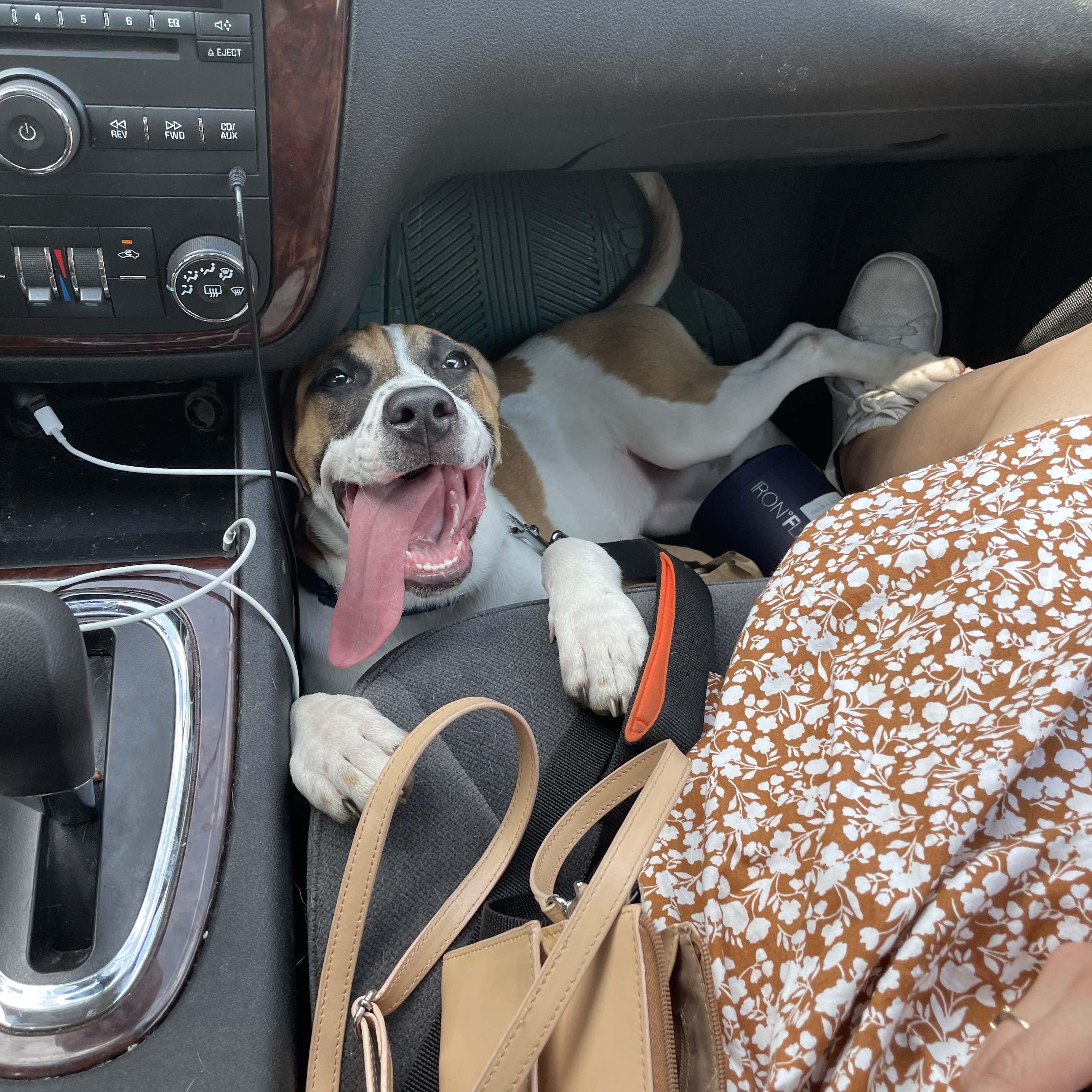 After a long day out with mommy and daddy!