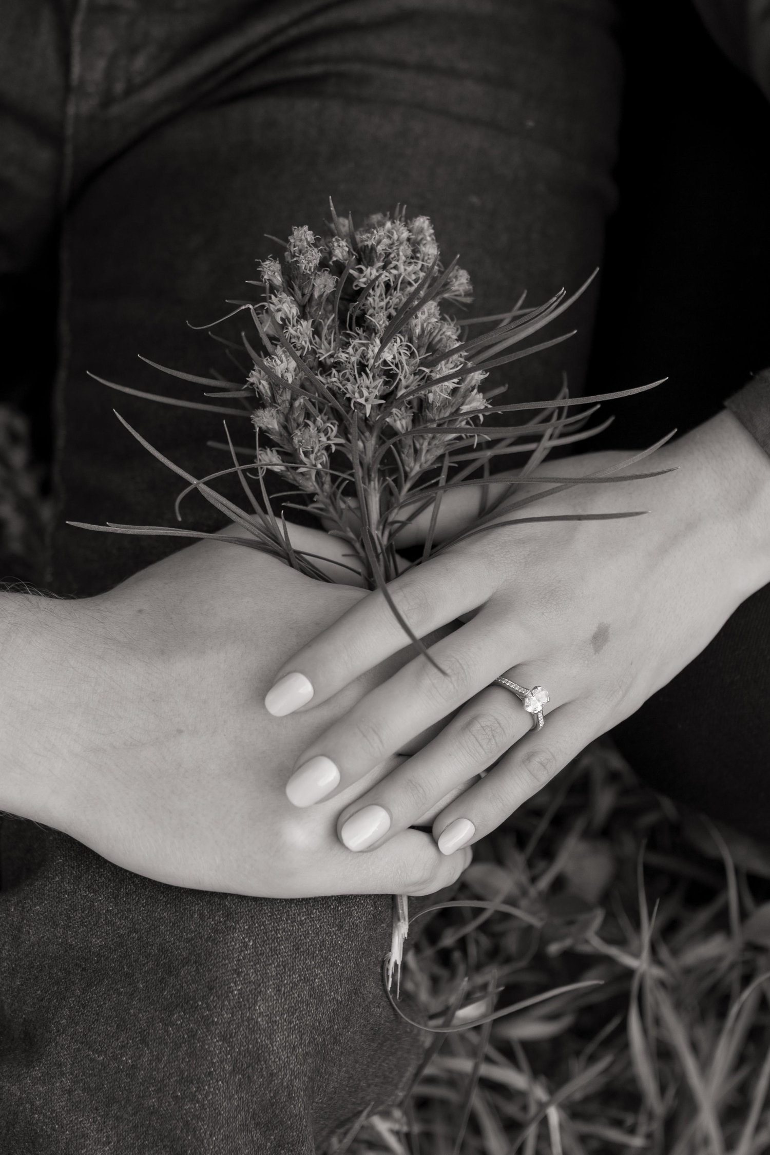 The Wedding Website of Cassandra Coyle and Christopher Rosell
