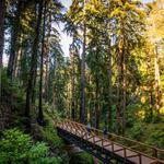 Pfeiffer Big Sur State Park