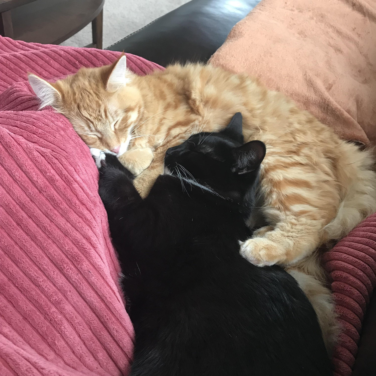 A rare moment of detente