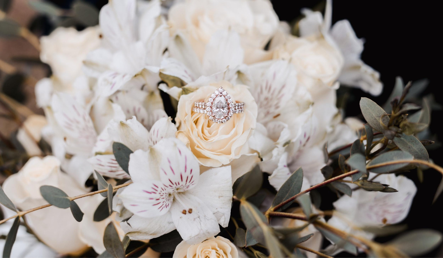 The Wedding Website of Nicole Raths and Joel Raths