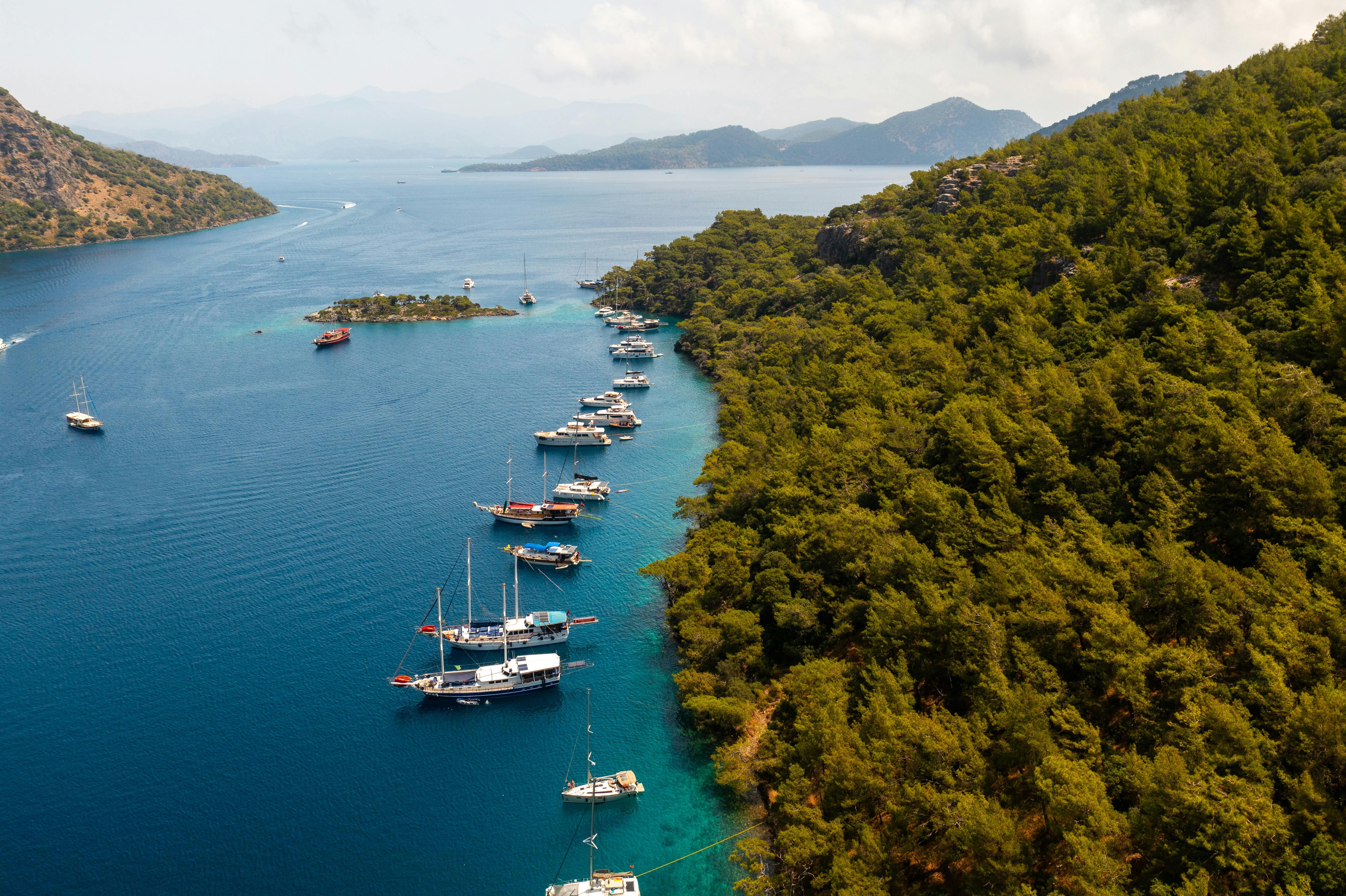 The Wedding Website of Julianne O'Connell and Cenk Baykal