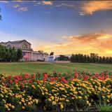 Forest Park