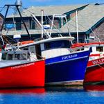 Menemsha Fishing Village