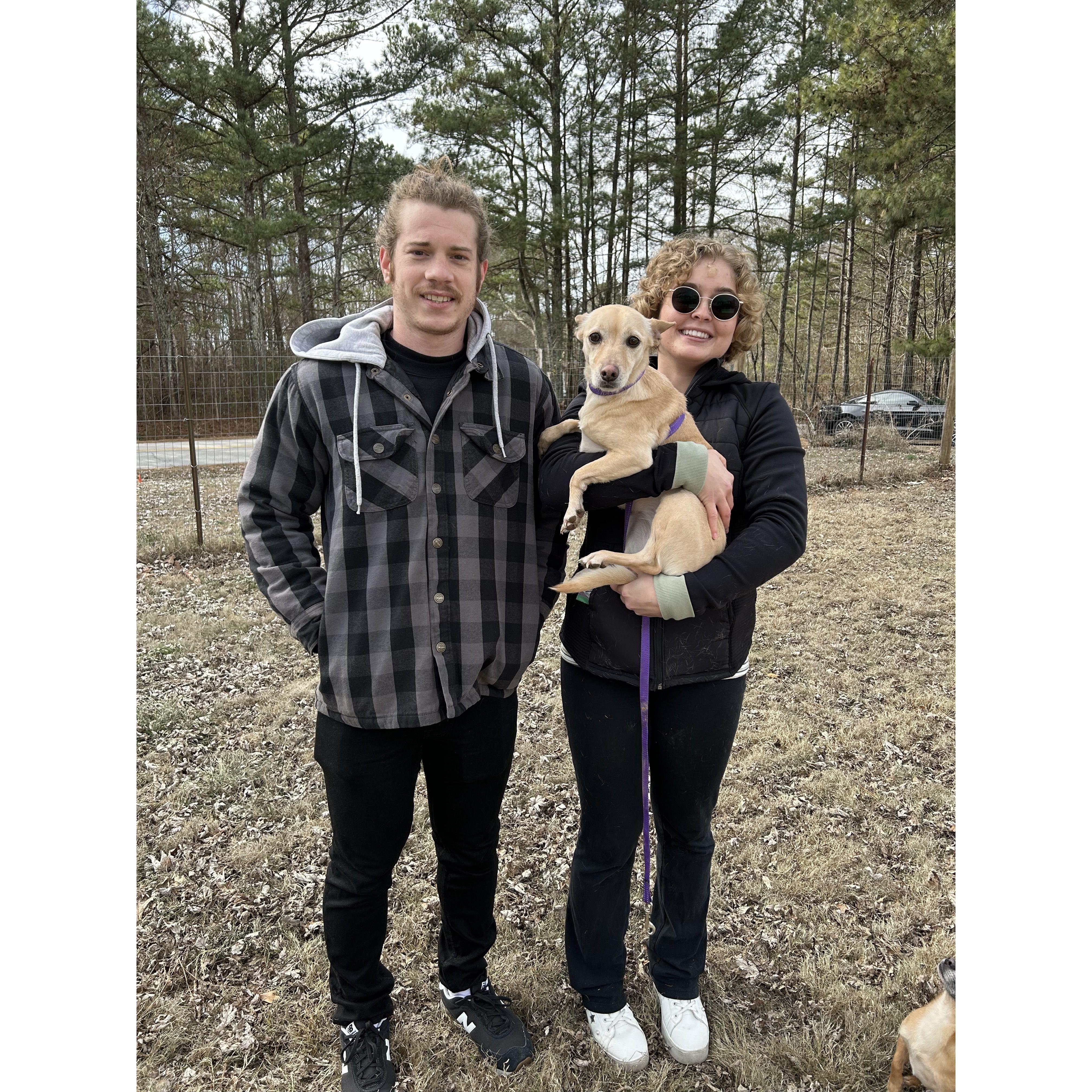 The day we got Honey: December 26th, 2023!