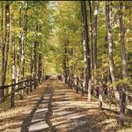 Harlem Valley Rail Trail