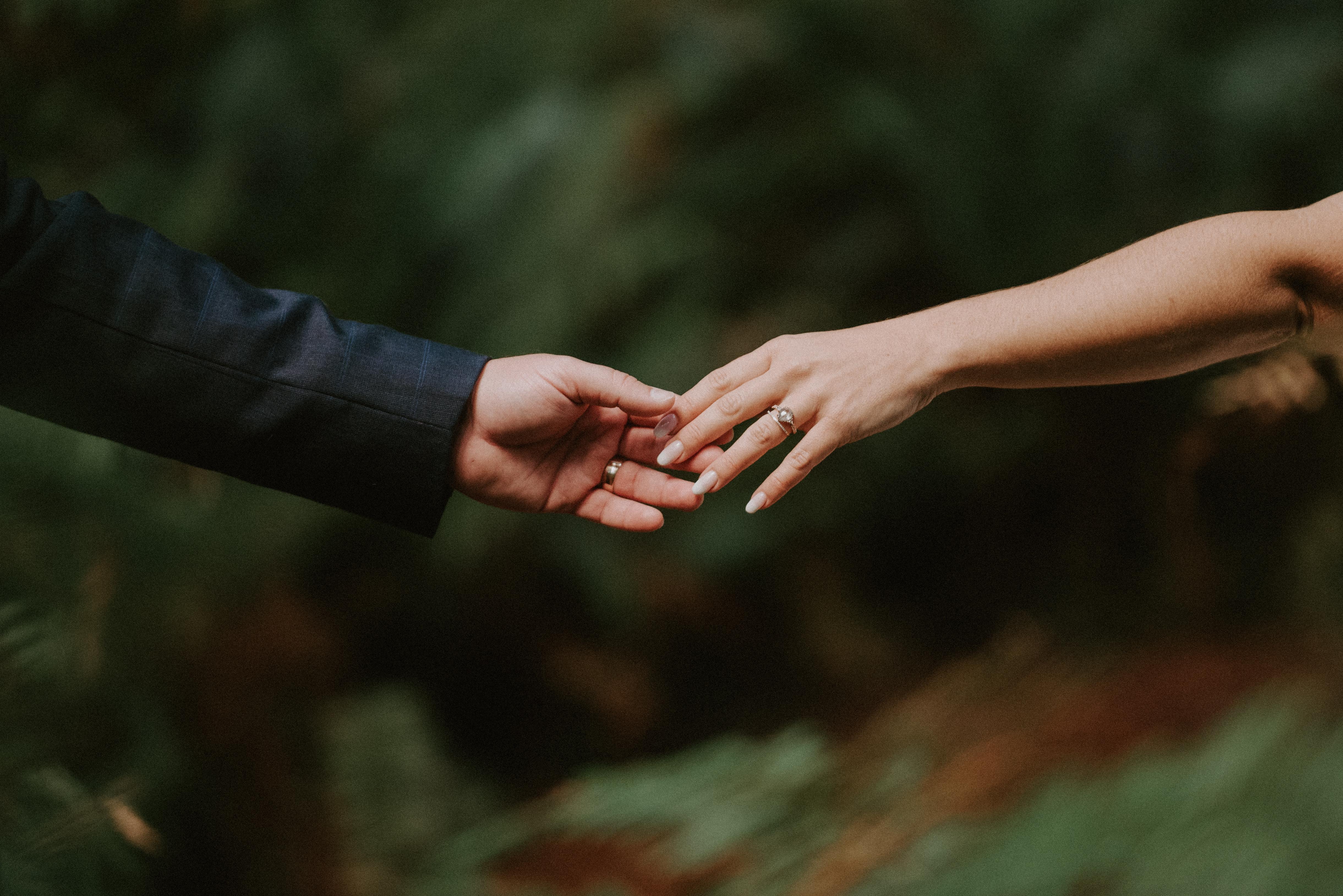 The Wedding Website of Alyssa Cuccia and Gabriel Shalhoub