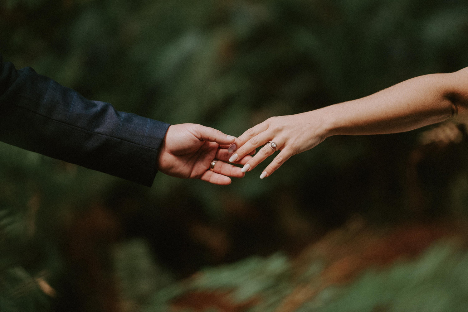 The Wedding Website of Alyssa Cuccia and Gabriel Shalhoub
