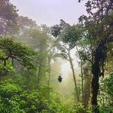 Monteverde Cloud Forest Biological Preserve