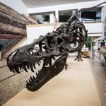 New Mexico Museum of Natural History and Science