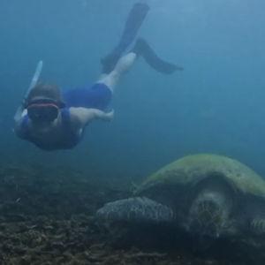 Snorkel Gear for Two