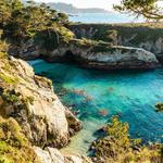 Point Lobos State Natural Reserve