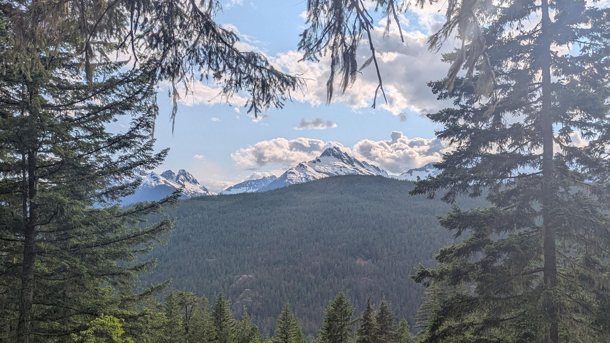 The Wedding Website of Rogan Lindemark and Kaitlyn Regehr