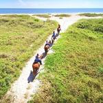 Tours on Horseback