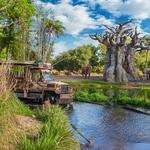 Kilimanjaro Safaris