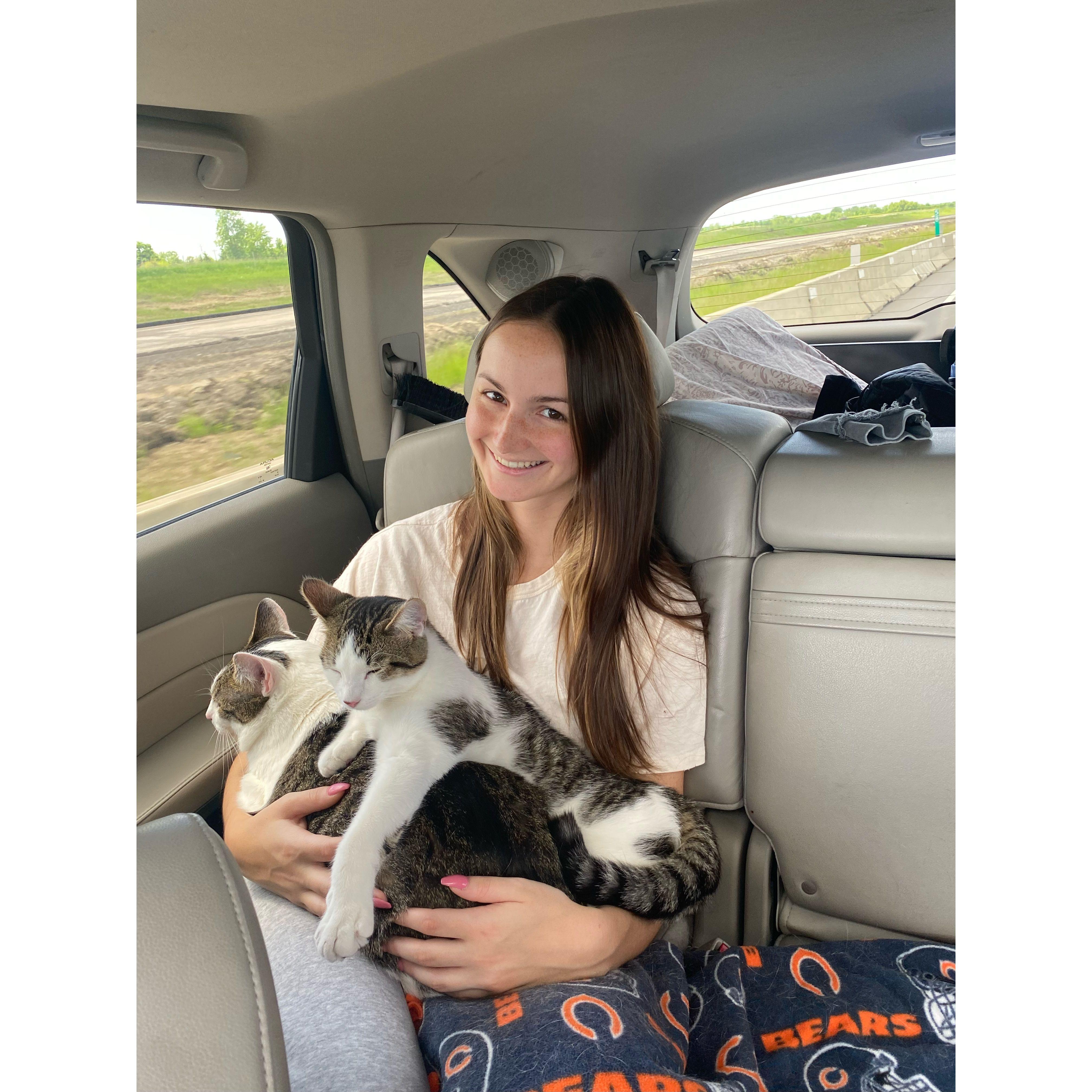 Holding Bagel & Chewie on a road trip to Pittsburgh