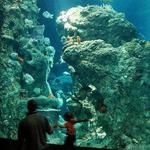 South Carolina Aquarium