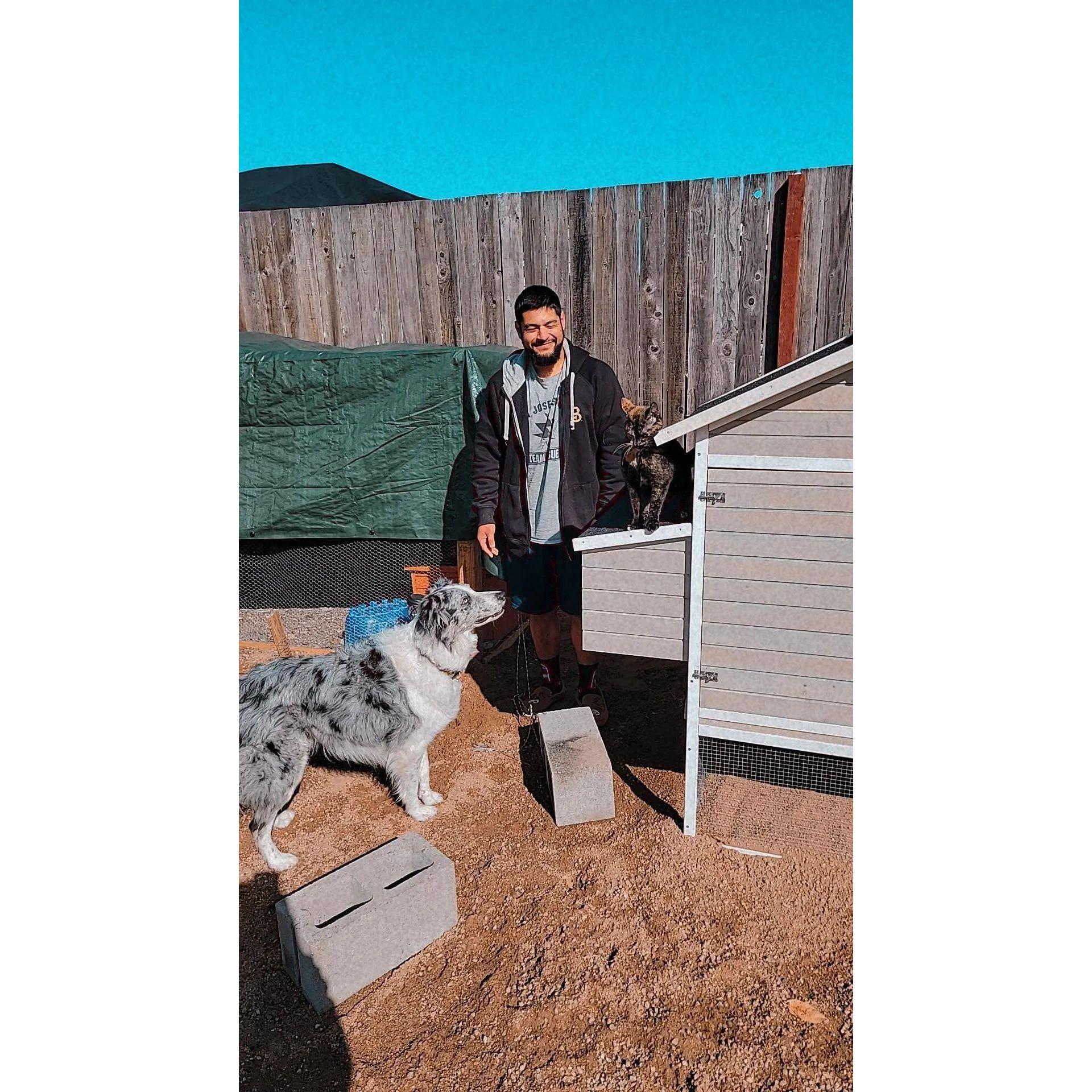 Home Life
