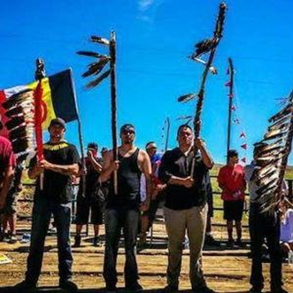 International Indian Treaty Council https://www.iitc.org