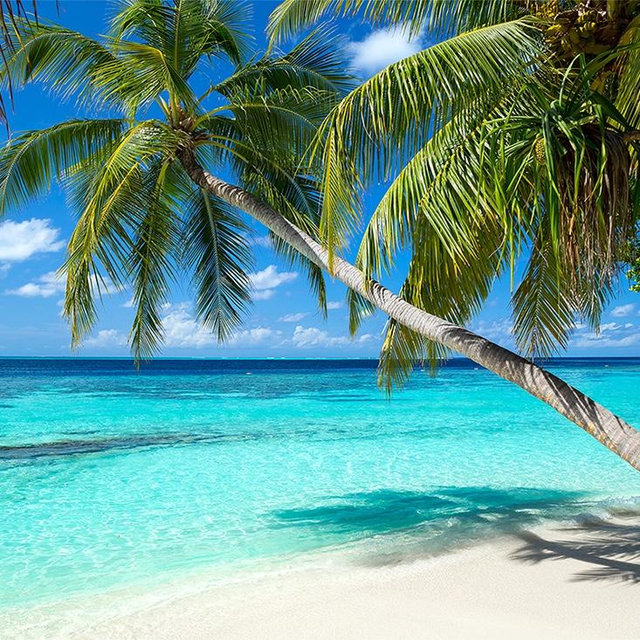 Honeymoon Fund - St. Lucia