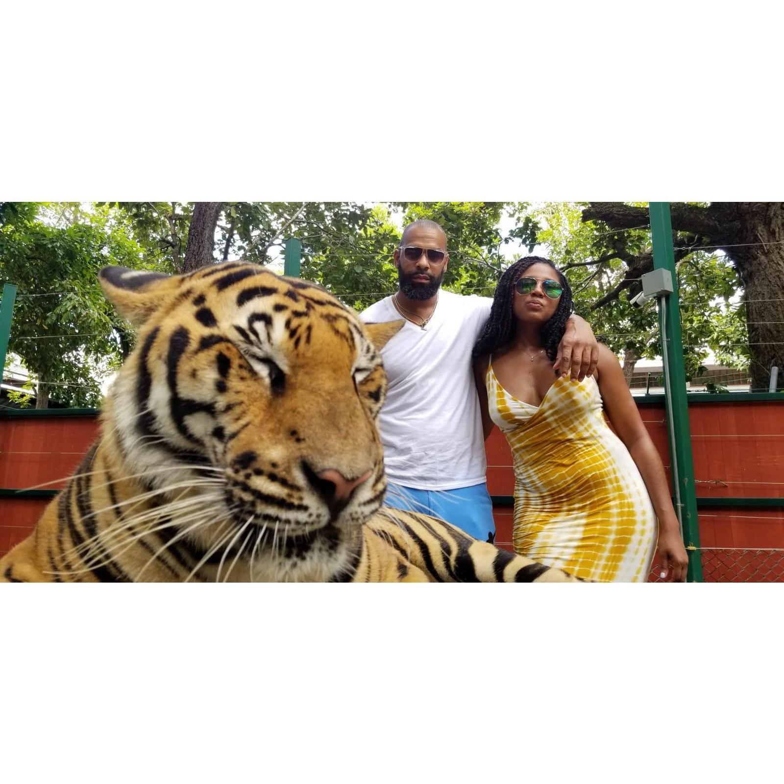 Lions and tigers, ok maybe not bears. Thailand was absolutely beautiful.