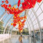 Chihuly Garden and Glass