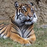 Memphis Zoo