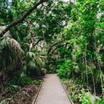 Brevard County Enchanted Forest Sanctuary
