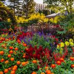 Denver Botanic Gardens