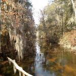 Phinizy Swamp Nature Park