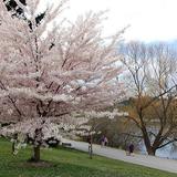 Green Lake Park